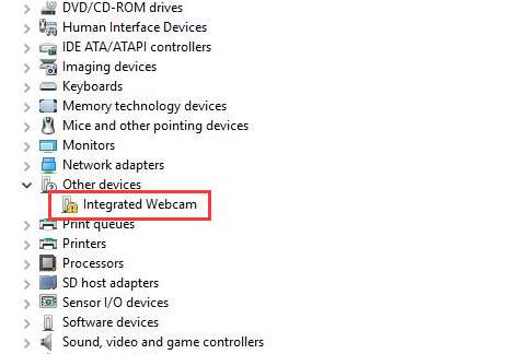 Dell Webcam Driver Windows 10