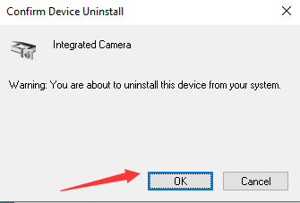 how to install webcam driver windows 10