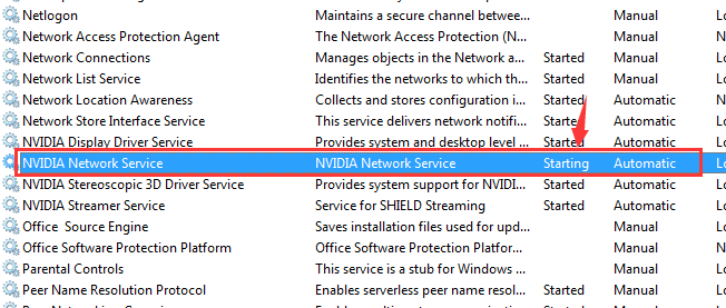 nvidia network service
