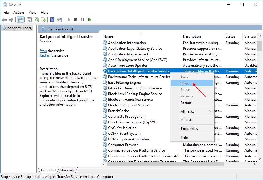 svchost.exe (netsvcs) using internet