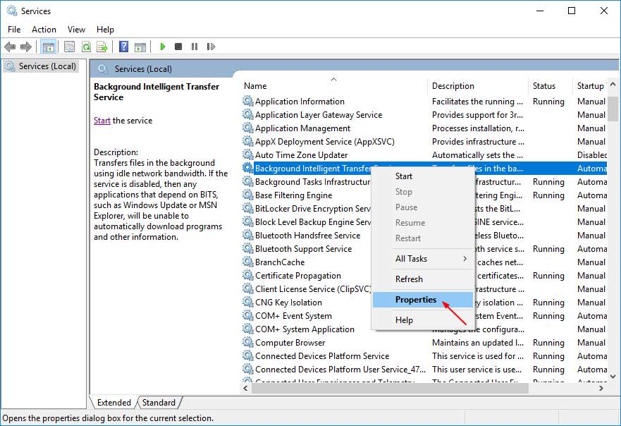 svchost.exe (netsvcs) internet