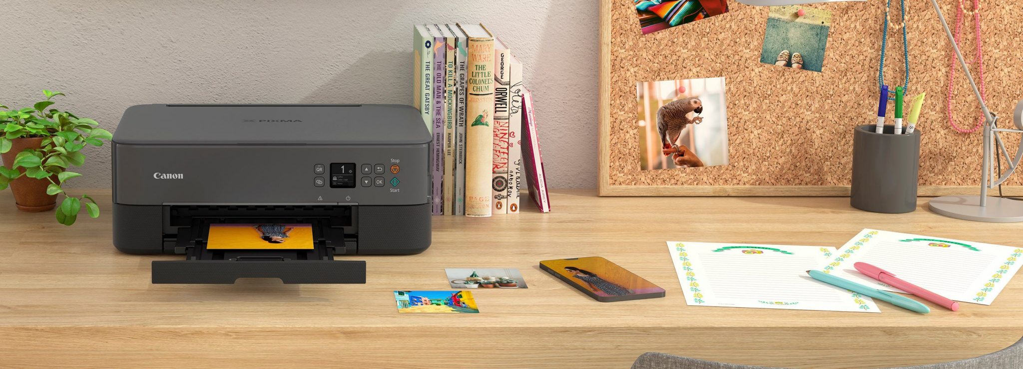 Canon Printer Offline