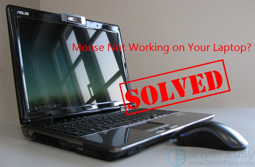 Why Is My Laptop Mouse Not Working Hp