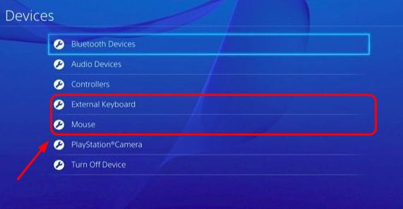 aanvaarden aansluiten vloeiend How to Connect and Use Keyboard and Mouse on PS4 - Driver Easy