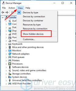display adapter not showing up in device manager