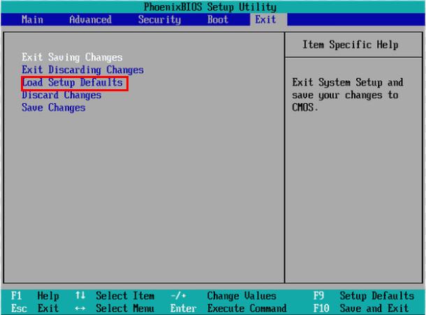 display adapters not showing up device manager