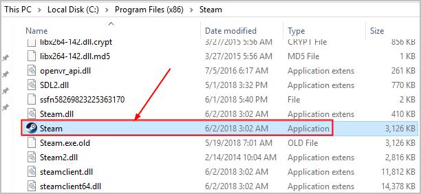 steam api dll file deletes itself