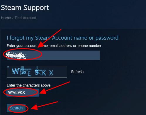 5: Steam Login, standard username and password entry