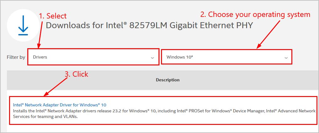 driver intel 82579v gigabit network connection