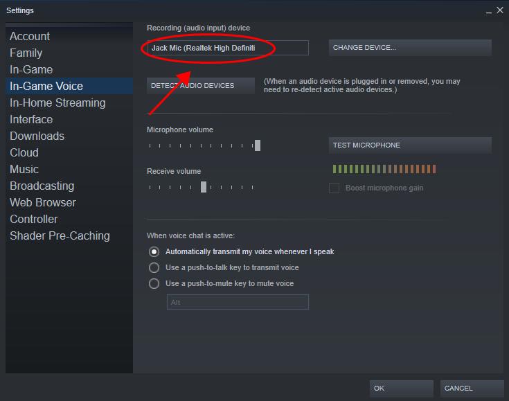 Chat settings voice steam How to