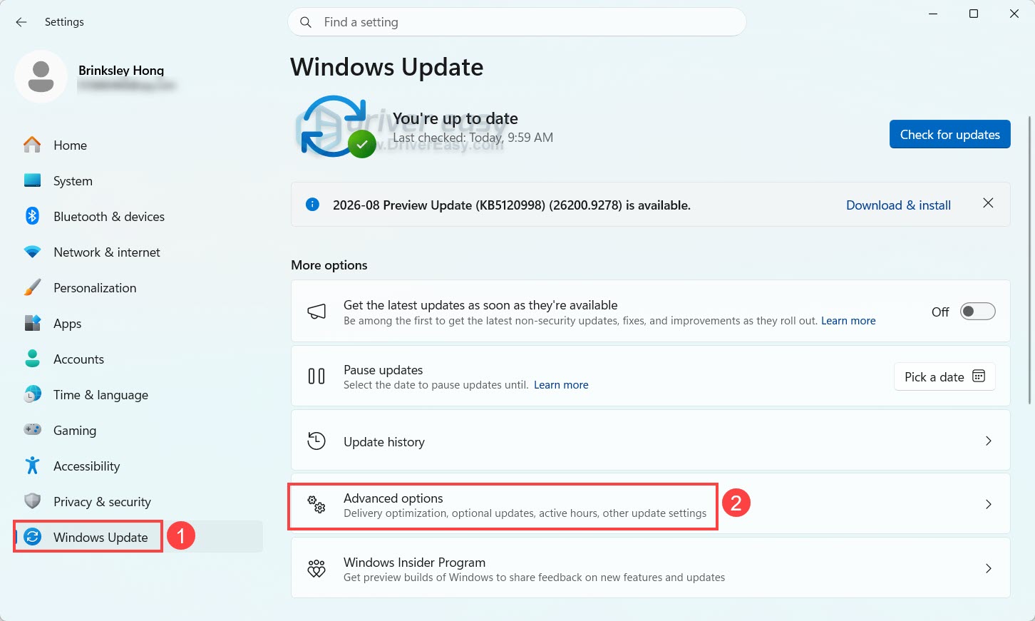 check windows update advanced options
