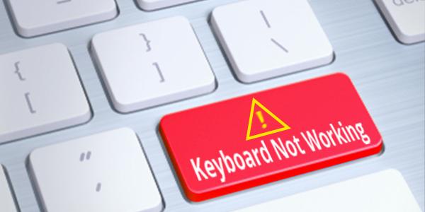 keyboard notworking