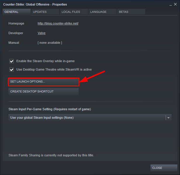 cs go nosteam wont start