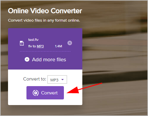 .flv to mp3 converter