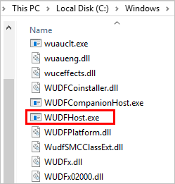 Wudfhost exe что это за процесс windows 10