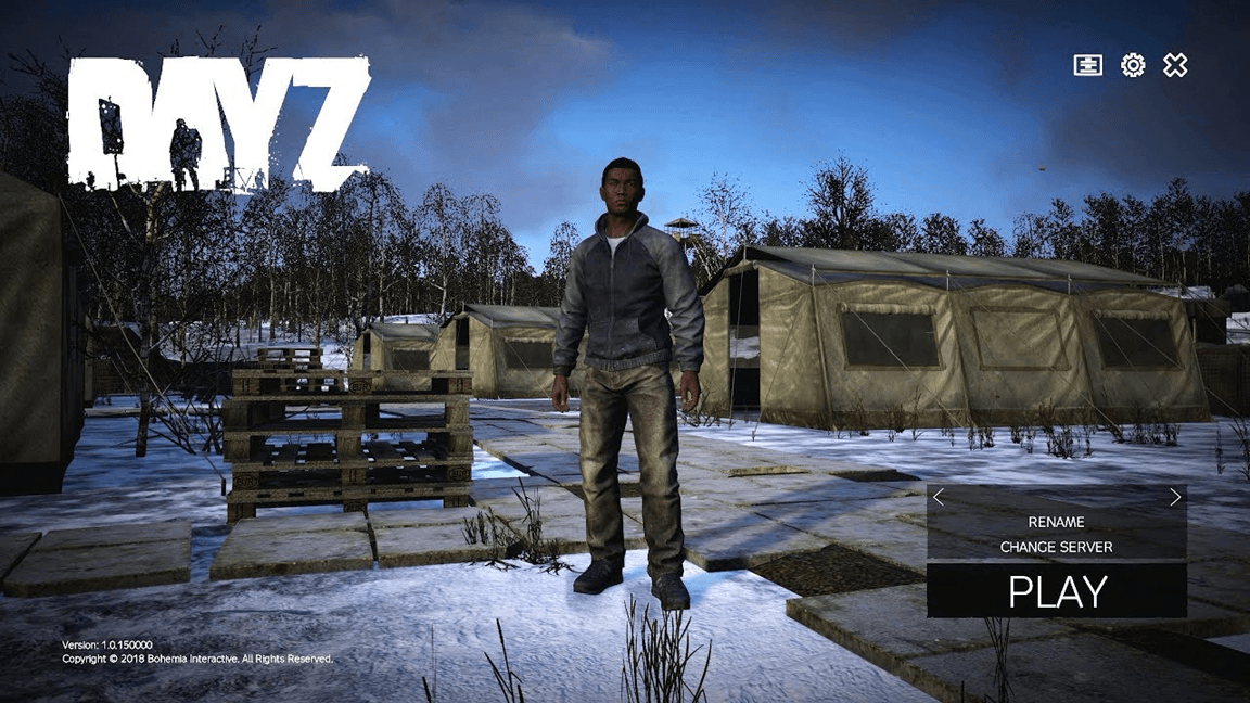 how to change name in dayz