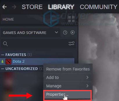 dota 2 launch options