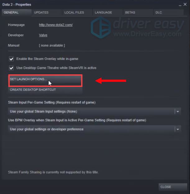 change launch options for Dota 2 to fix the error Change Rendering API