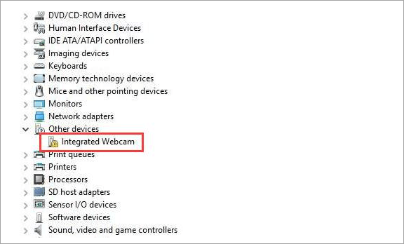 integrated webcam driver for windows 10 dell