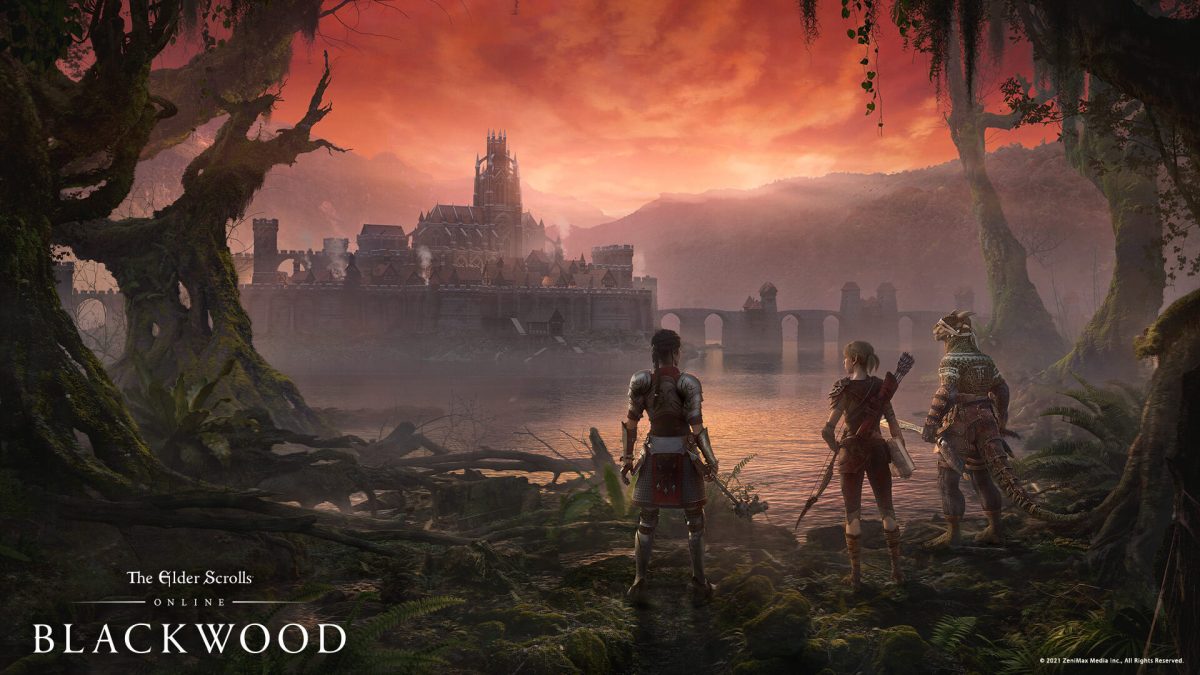 The elder scrolls online blackwood системные требования