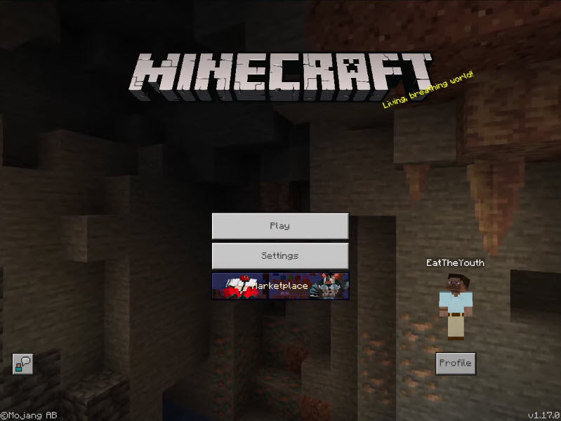 minecraft tablet edition get rid of black bar behind text