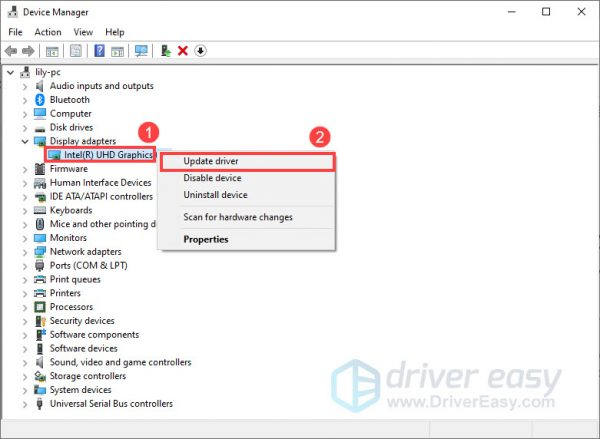 How to Update Graphics Driver on Windows 11 - Driver Easy