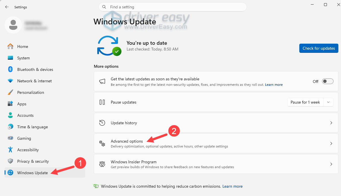 check windows update advanced options